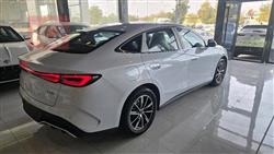 بي واي دي سيل 06 DM-i